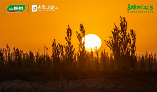 Their Steps Steady and Far-reaching, They are Going After Their Aspirations: The Second Day of the Gobi Going